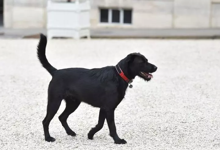 Gabriela Cristea împlineşte 43 de ani! Mesajul emoţionant transmis de soţul prezentatoarei TV