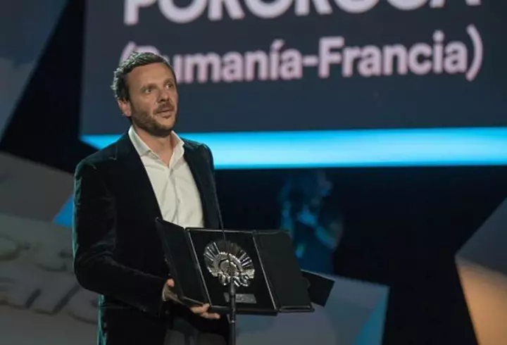 Vedete pe covorul verde la Media Music Awards 2017