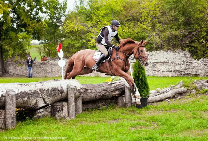 (P) Noutate în turism. Sejur all inclusive în Delta Dunării de la 419 lei de persoană!