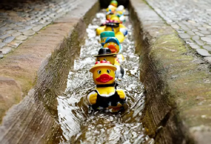 Alexandra Dinu și Adrien Brody, în România! Actorul american s-a îndrăgostit