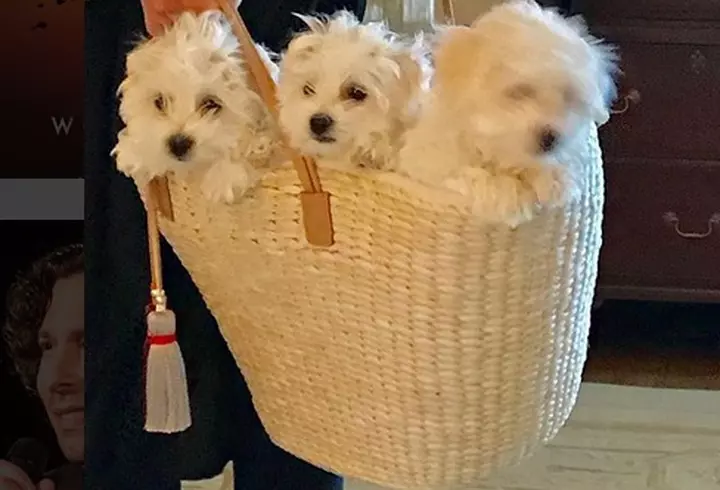 Ce cred Anca Serea şi Giulia despre închiderea şcolilor: una e pro, alta e contra - EXCLUSIV