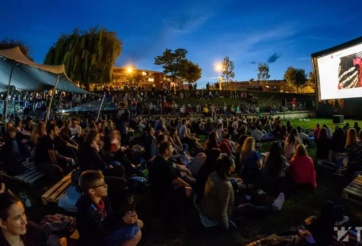 (P) Reîntoarcerea urșilor