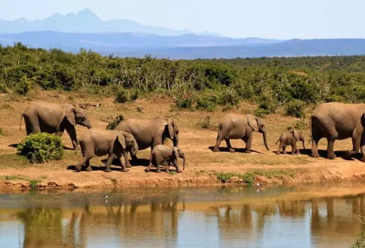 (P) Ultra Las Minute Delta Dunării – de la numai 549 lei!