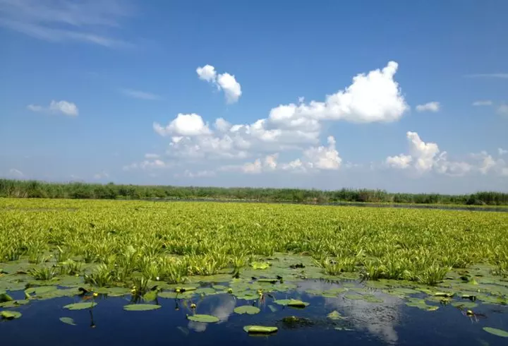 (P) Revelion încărcat de spiritualitate și istorie, în Țara Sfântă