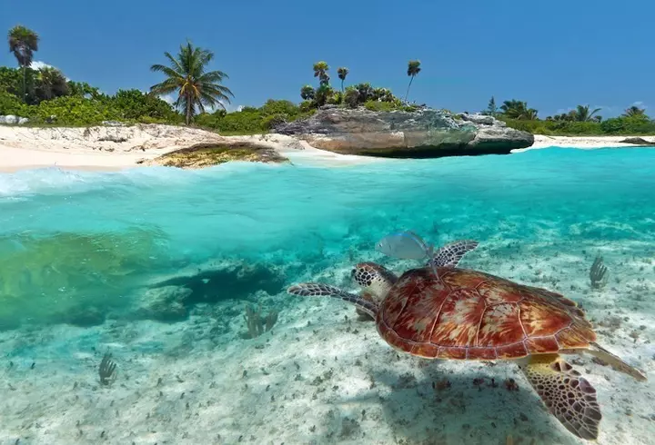 Vacanță în Delta Dunării prin programul Plătește 1, Merg 2!