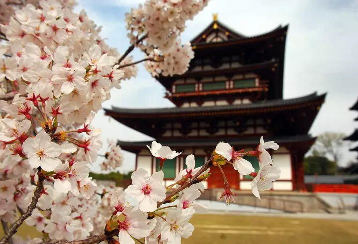 Programul nunţii Principelui Nicolae cu Alina Binder. Când sunt aşteptaţi invitații la biserică