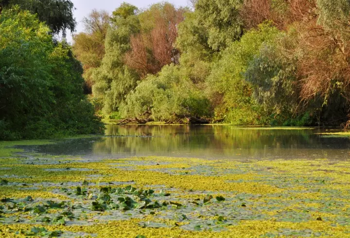 Vacanță în Delta Dunării prin programul Plătește 1, Merg 2!