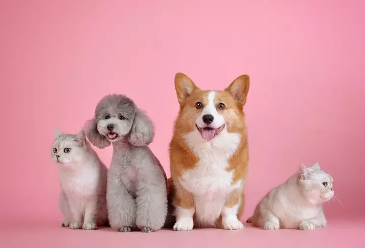 Vacanță în Delta Dunării prin programul Plătește 1, Merg 2!