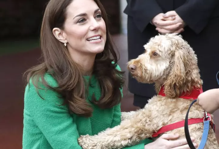 Duel murdar la "Ferma". Ioana Filimon, Diana Belbiță, Silviu Țolu și Emil Rengle au luptat pentru o recompensă