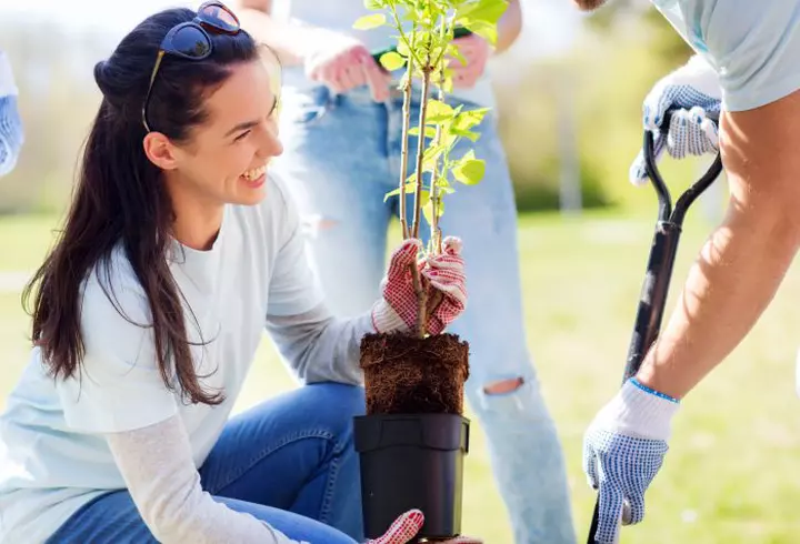 Faci sport? Rădăcina care te ajută să scapi de febra musculară!