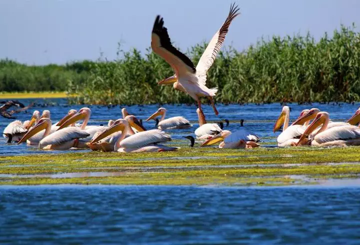 (P) Zile de vară cu distracție și voie bună, în Skiathos
