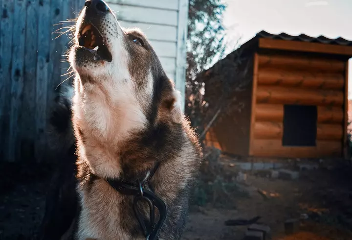 De ce nu simți nicio chimie când te săruți cu unele persoane
