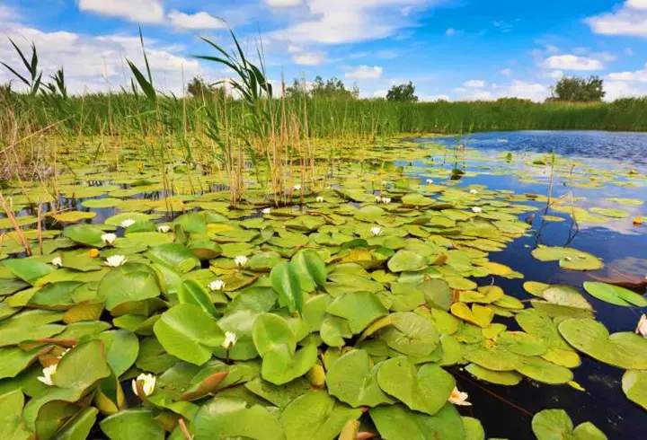 (P) Zile de vară cu distracție și voie bună, în Skiathos