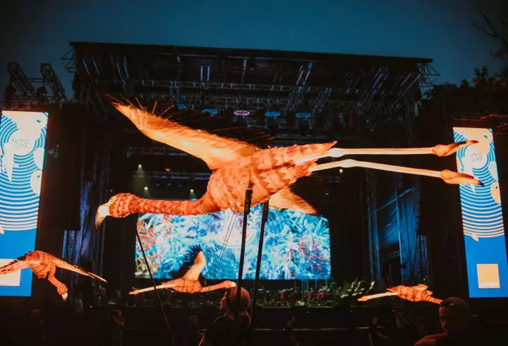 Tyga și Black Eyed Peas vin la Neversea 2020! S-a anunțat primul val de artiști