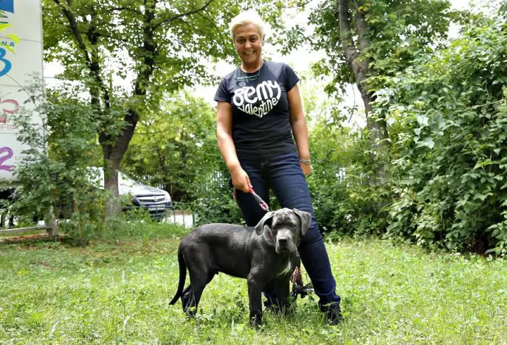 Gigi Becali crede că pedeapsa cu moartea e prea blândă pentru criminalul din Caracal: ”Astfel de animale să fie castrate. Castrare chimică, tată!”