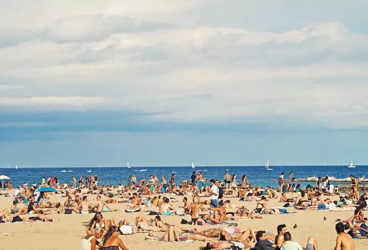 (P) Croaziere de vis în jurul insulei Zakynthos