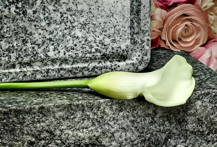 Cum obții primul job dacă n-ai experiență