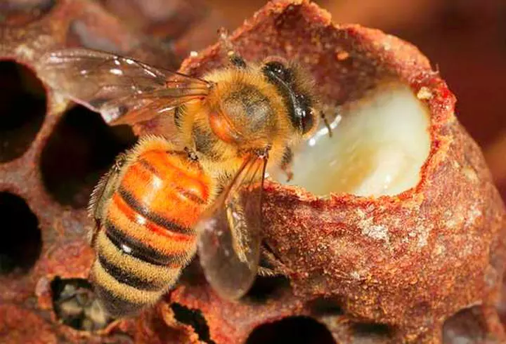 Ce machiaj să folosești în funcție de eveniment