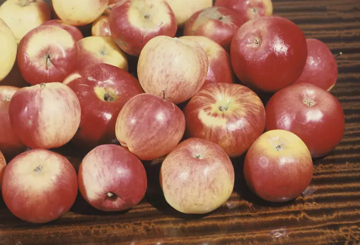 Asia Express sezonul 3 a început. Cele 9 echipe au pornit pe Drumul Comorilor