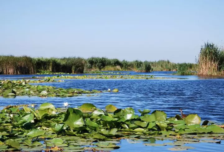 (P) Zile de vară cu distracție și voie bună, în Skiathos