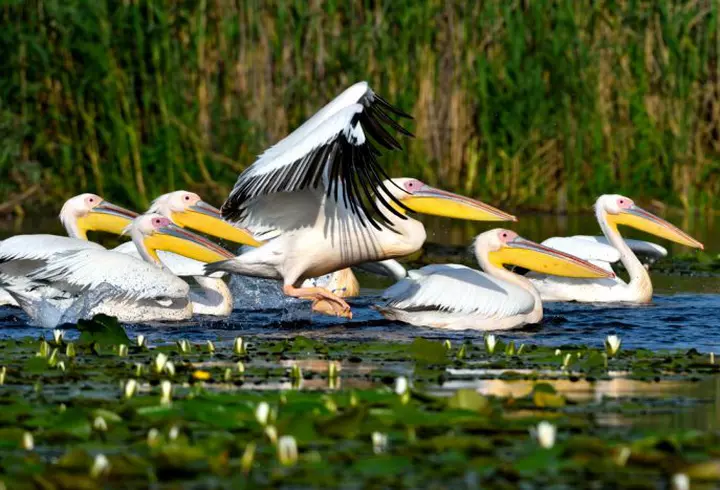 DJ-ul numărul 1 al lumii în următoare producție Marvel?! A urcat pe scena festivalului UNTOLD în toate cele 5 ediții