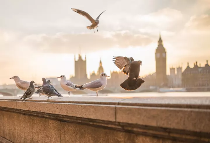 (P) Stațiuni din Antalya unde să evadezi vara viitoare