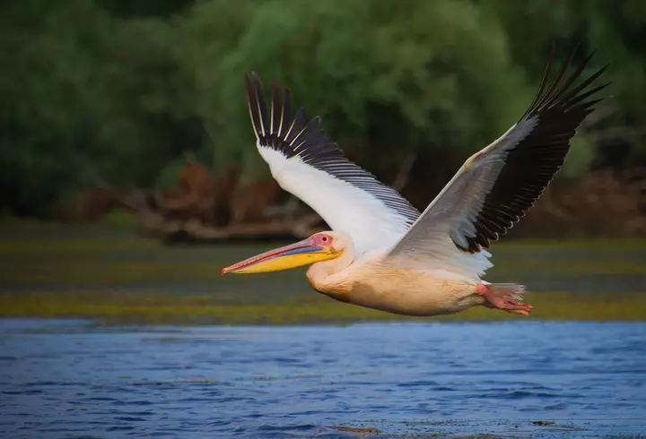 (P) Zile de vară cu distracție și voie bună, în Skiathos