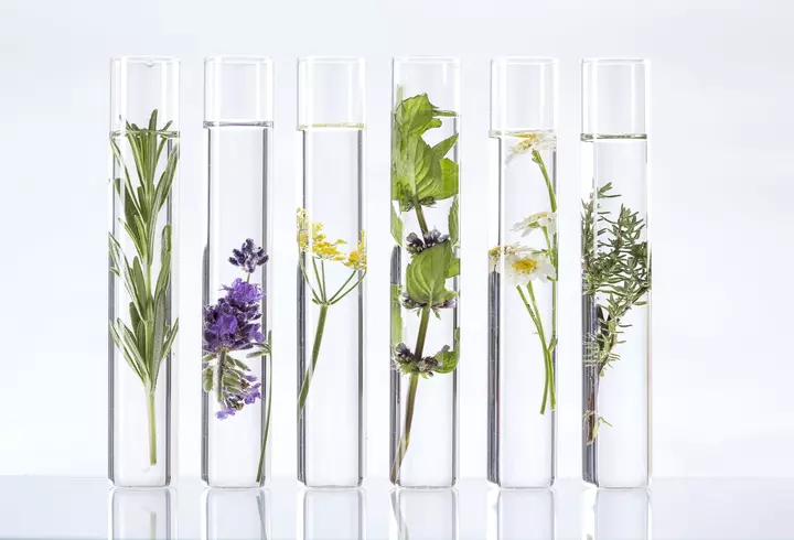 Dan Negru, despre Andreea Marin și Mihaela Rădulescu, vedetele alături de care a prezentat: "Există azi vreo vedetă TV feminină care să..." / EXCLUSIV