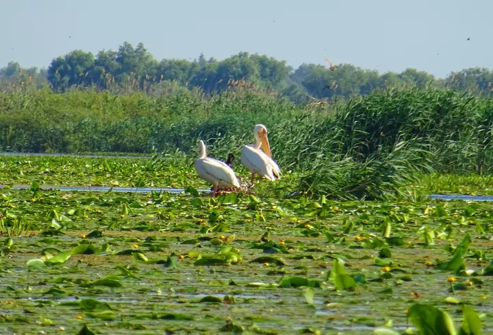 (P) Stațiuni din Antalya unde să evadezi vara viitoare