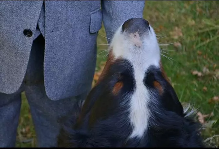 Ceartă între Speak și iubita lui la Asia Express: "Mă iau nervii. Îmi vine să-ți dau cu ochelarii în cap!"/ "Ce să-ți fac? Ești nebună?"