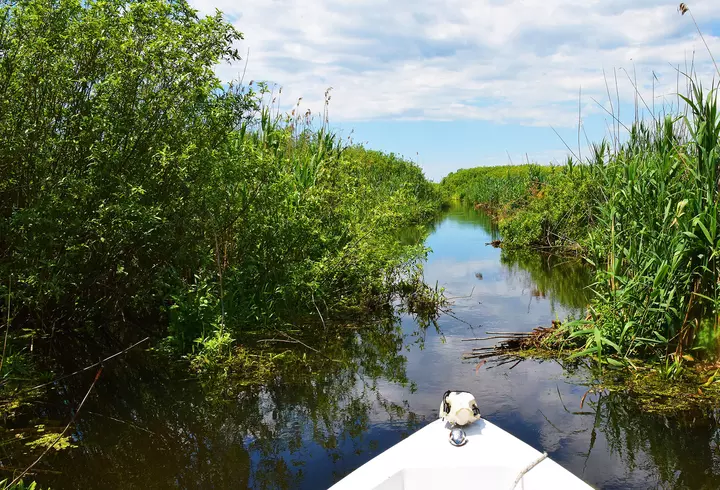 (P) Stațiunea de schi Avoriaz, atracție de top pentru amatorii de distracție