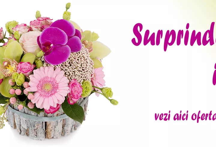 (P) Stațiunea de schi Avoriaz, atracție de top pentru amatorii de distracție