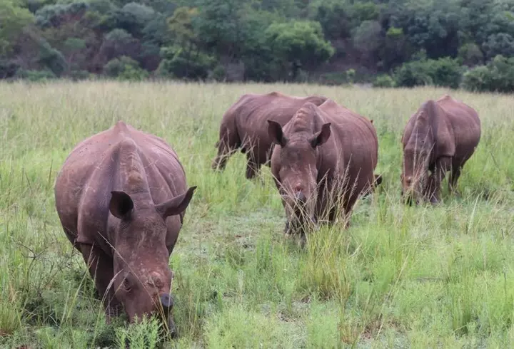 HUAWEI P40 lite, noul smartphone de la HUAWEI care ține pasul cu tendințele în modă