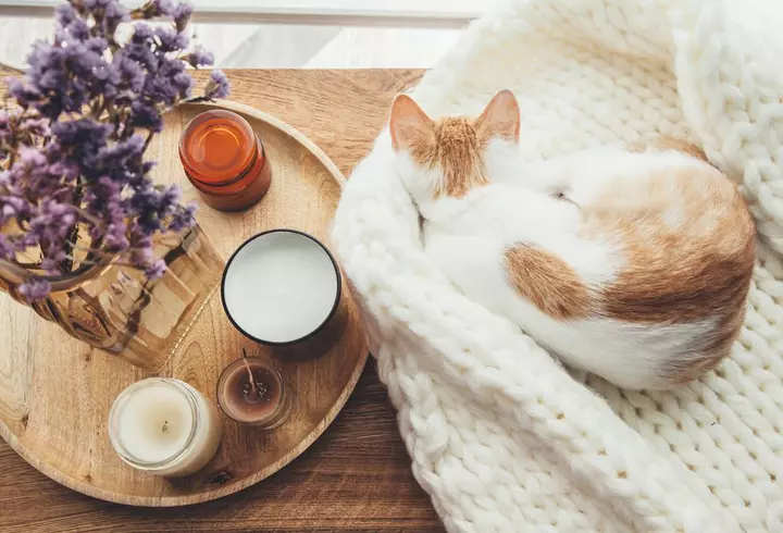 (P) Urmărește live TOMMYNOW, show-ul extraordinar marca Tommy Hilfiger pentru lansarea noilor colecții