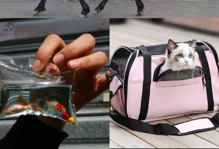 Trecerea la ora de vară și efectele resimțite de organism. Ce se întâmplă cu persoanele în vârstă, depresive sau anxioase