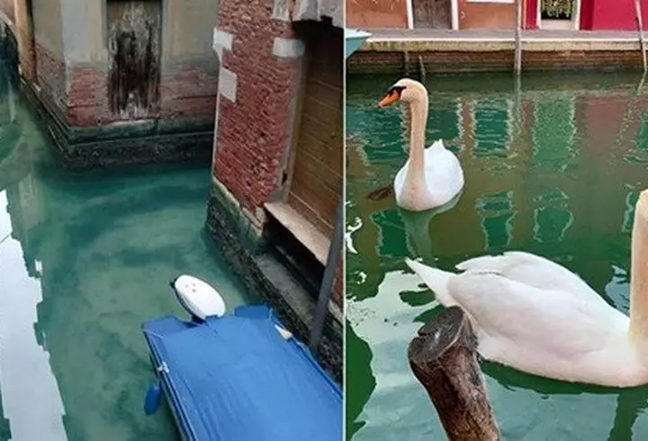 Mesajul unei tinere infectate cu noul coronavirus: "Dacă cineva se gândește să își asume vreun risc, doar uitați-vă la mine. Sunt la Terapie Intensivă, nu pot să respir fără tub"