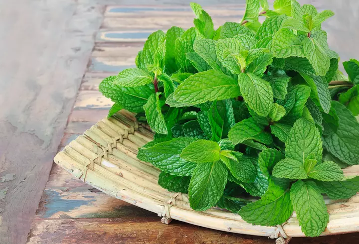 [Dă binele mai departe] Trust Motors oferă trei autovehicule Peugeot Institutului Național de Boli Infecțioase „Prof. Dr. Matei Bals”