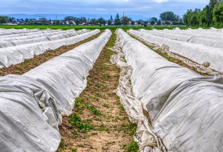 Caz revoltător la un hotel din Mamaia, unde se află în carantină 523 de oameni: mâncare expirată, pusă în vase pline cu mucegai