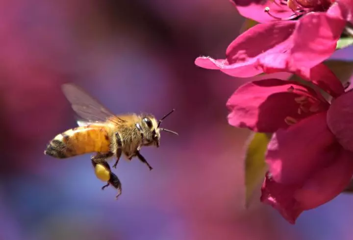 Ce mult a crescut fetița lui Vladimir Drăghia! La aproape 3 ani, Zora este încântătoare și începe să semene tot mai mult cu mama ei, Alice Cavaleru