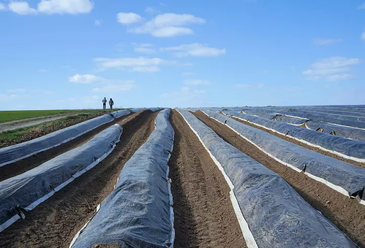 Specialiștii avertizează: Prețul biletelor de avion ar putea crește cu până la 50%, pe fondul crizei provocată de coronavirus