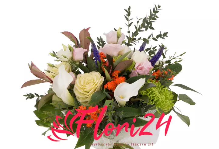 Oxy, după ce Brigitta Gheorghe a fost eliminată de la Chefi la Cuțite: "Au fost multe înțepături. Eram nervoasă"