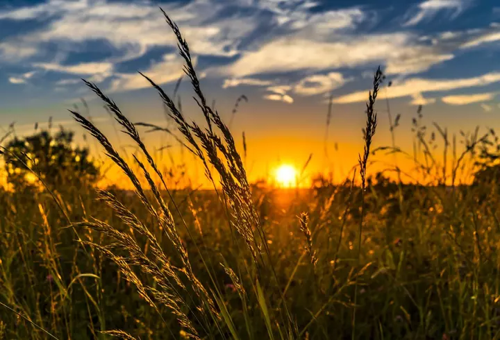 Când se redeschid mall-urile. Ministrul Economiei a făcut anunțul: "Vrem să aducem viața la normalitate mai repede"