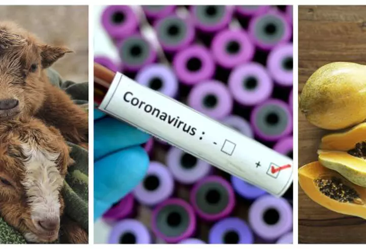 Marcel Vela, despre părăsirea localității, la finalul stării de urgență: "Începând cu 15 mai, puteți merge unde doriți, respectând anumite reguli!"