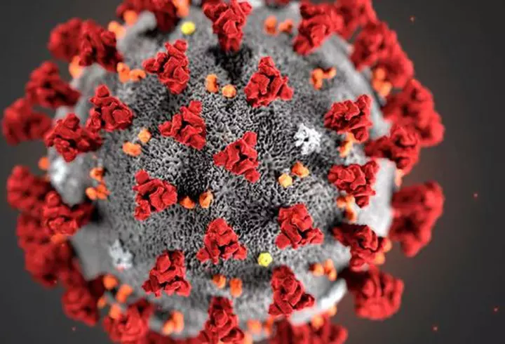 Organizaţia Mondială a Sănătăţii NU crede în apariția celui de-al doilea val COVID-19: "Virusul va avea dificultăţi să supravieţuiască". Îndemnul OMS către populație