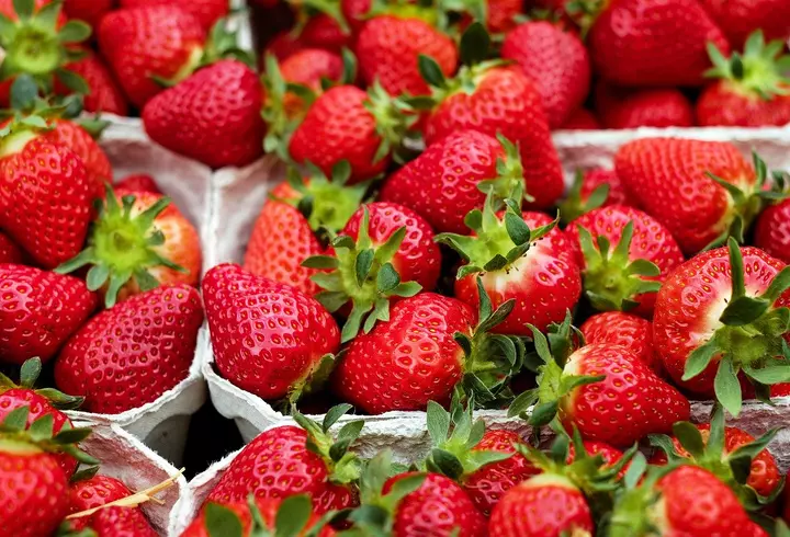 Surpriză uriașă! Cine este, de fapt, bătrâna de pe panourile LGBTQ, din România, care afișează mesajul „Numele meu este Maria și sunt bisexuală”