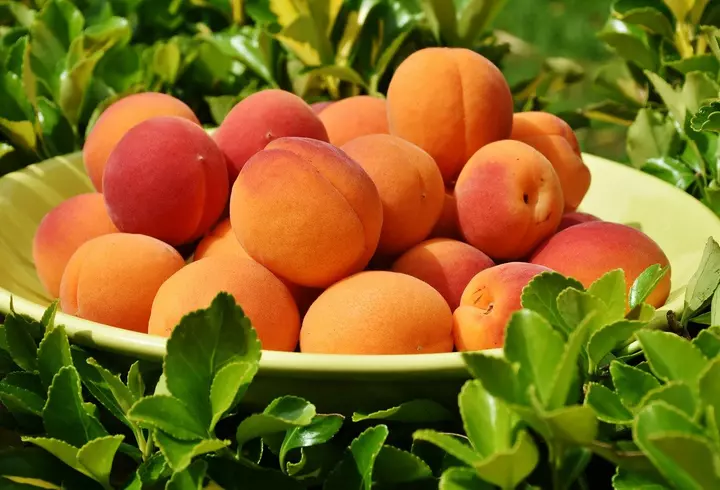 Ce beneficii asupra organismului au peștele și fructele de mare: sunt bune pentru imunitate, inimă și creier!