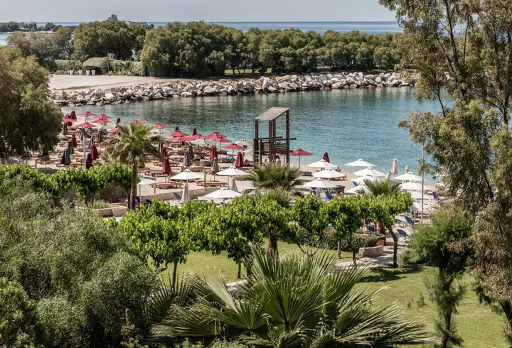 Care este termenul de valabilitate al celor mai populare alimente ținute la frigider sau congelator