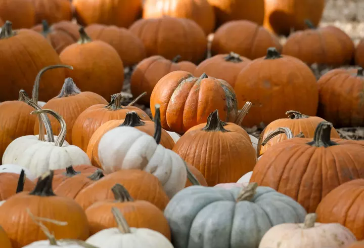 Combinații alimentare periculoase, care ne pot afecta digestia și sănătatea