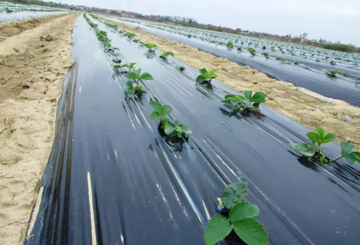 (P) Trei tipuri de fotolii pe care le vei îndrăgi