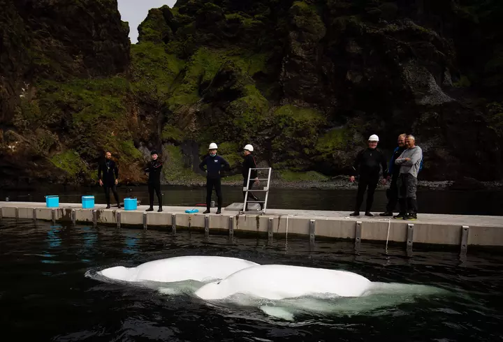 (P) Trei tipuri de fotolii pe care le vei îndrăgi